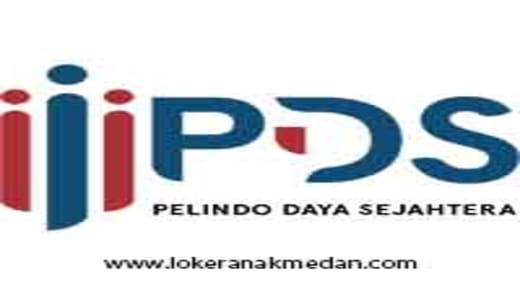 Lowongan Kerja PT Pelindo Daya Sejahtera