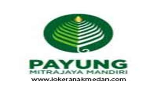 Lowongan Kerja PT. Payung Mitrajaya Mandiri