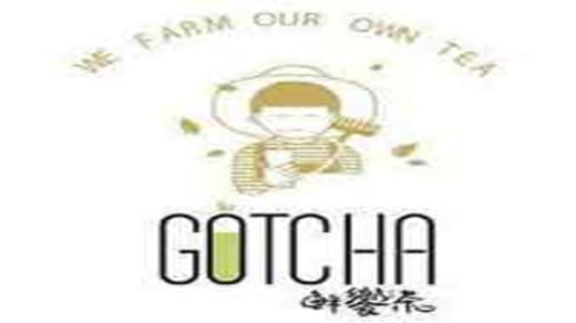 Lowongan Kerja Gotcha Fresh Tea