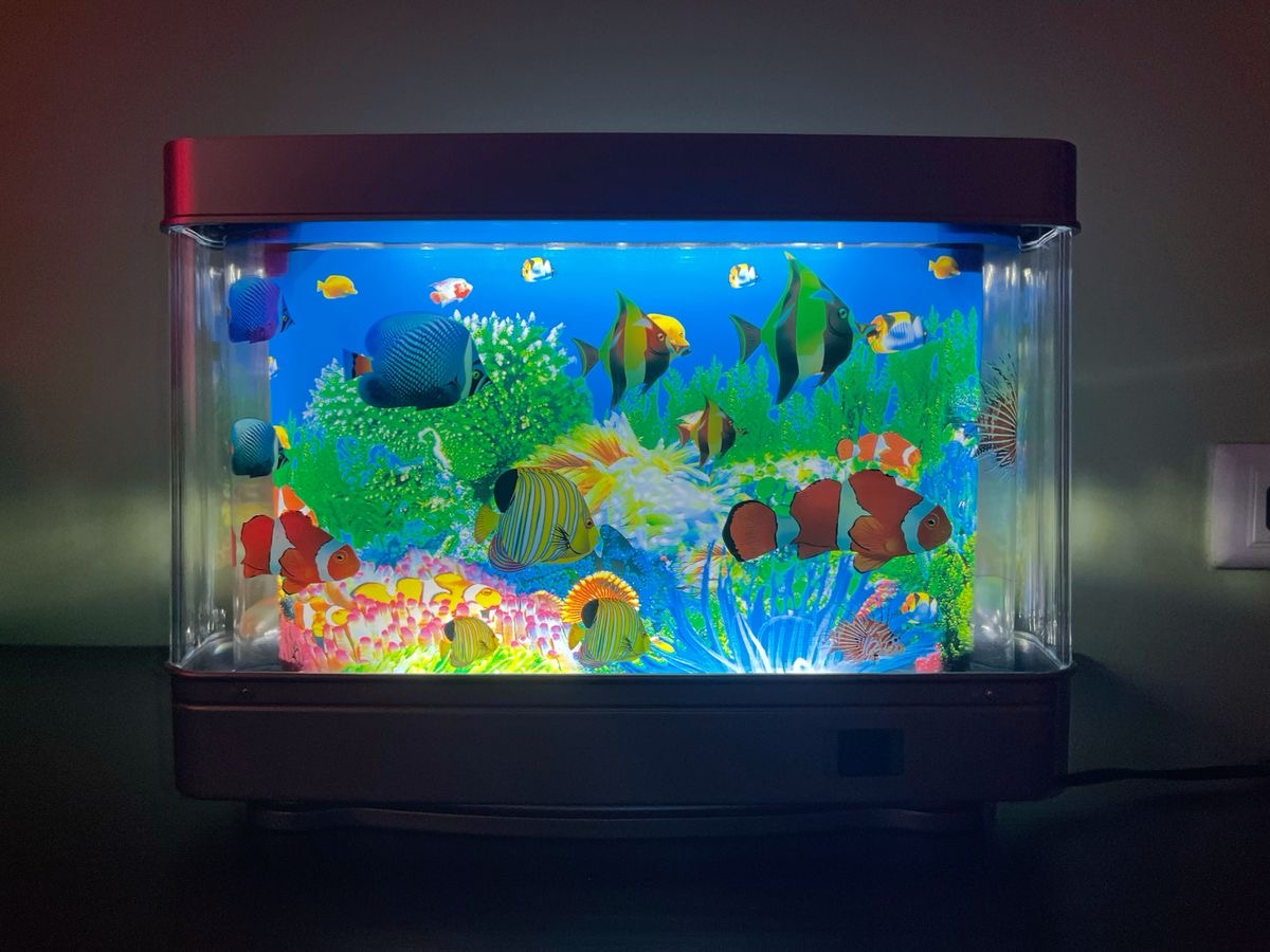 حوض السمك 🐠🌊