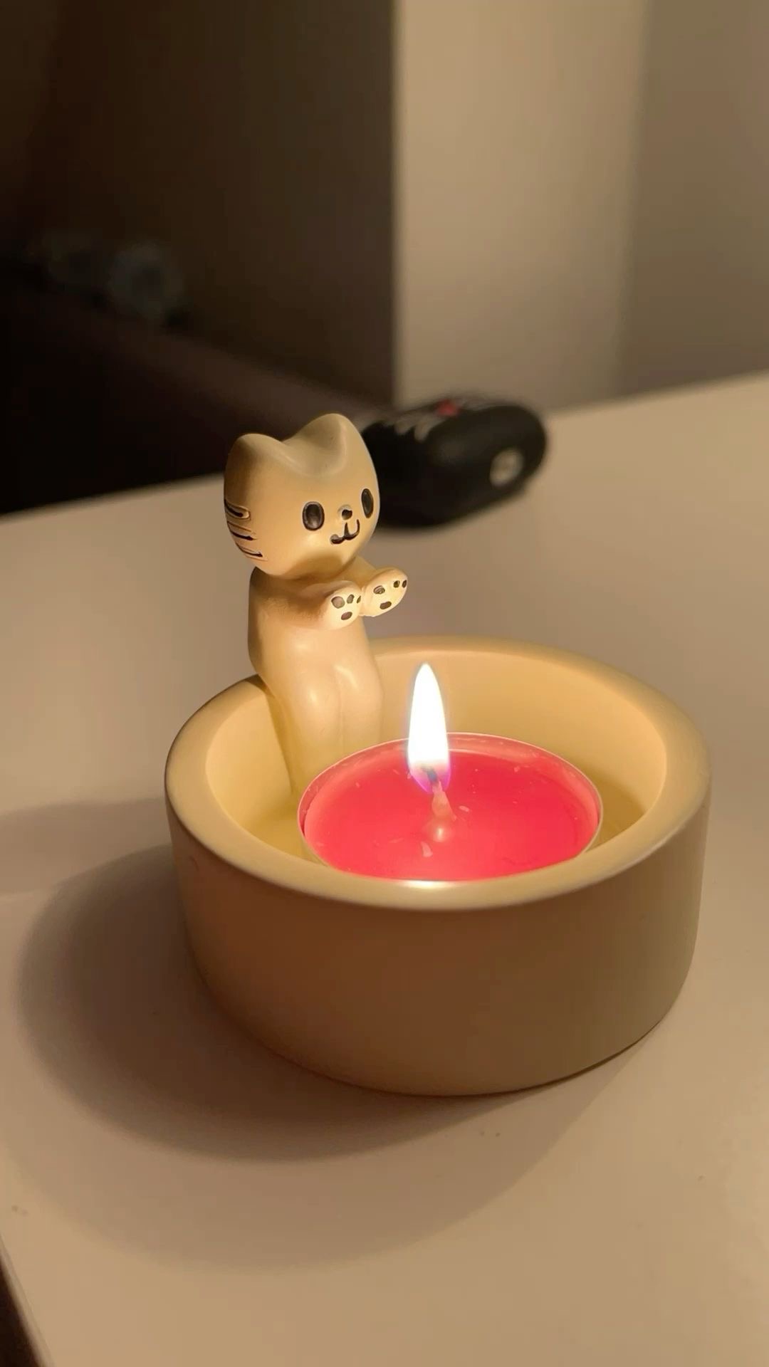 شمعدان القطة 🐈✨
