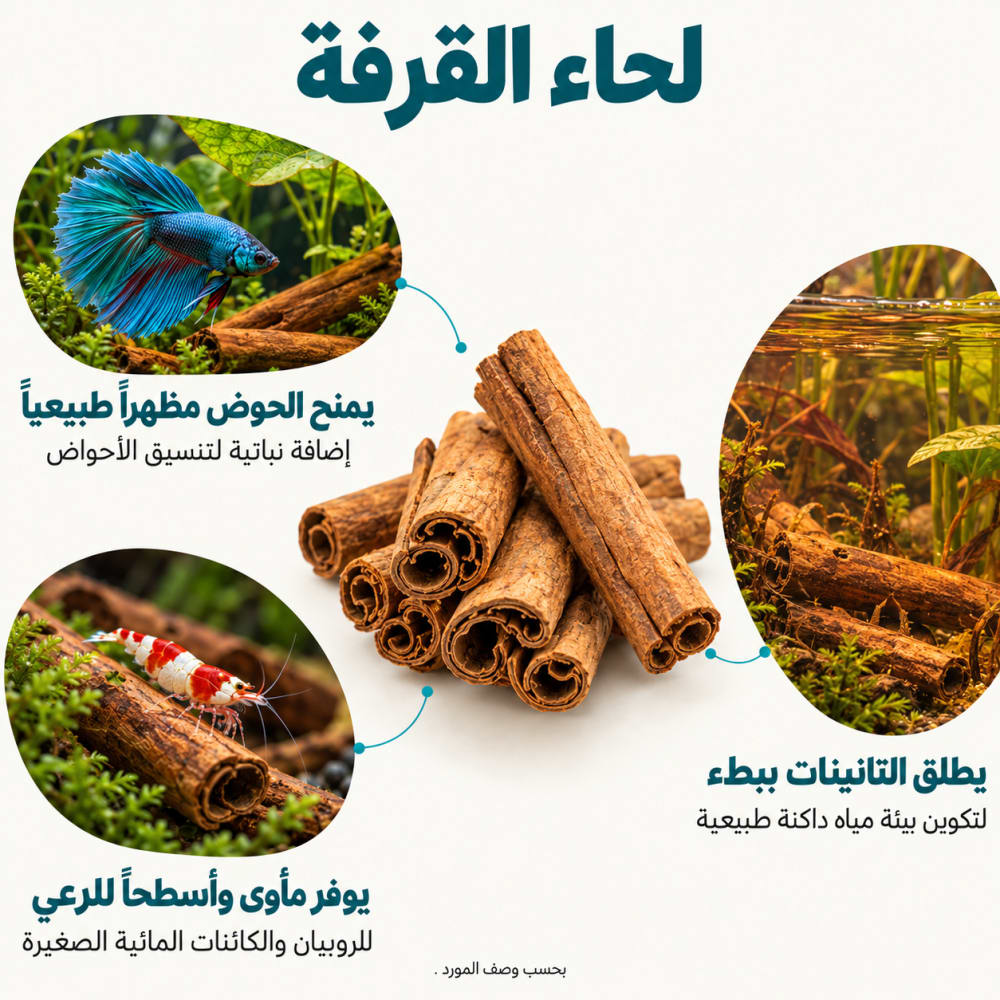 لحاء القرفة الطبيعي للأحواض — 5 قطع — صورة 2