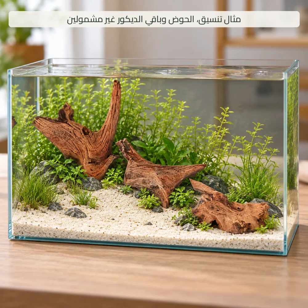 خشب طبيعي مصقول للأكواسكيب | 13 إلى 30 سم — صورة 2