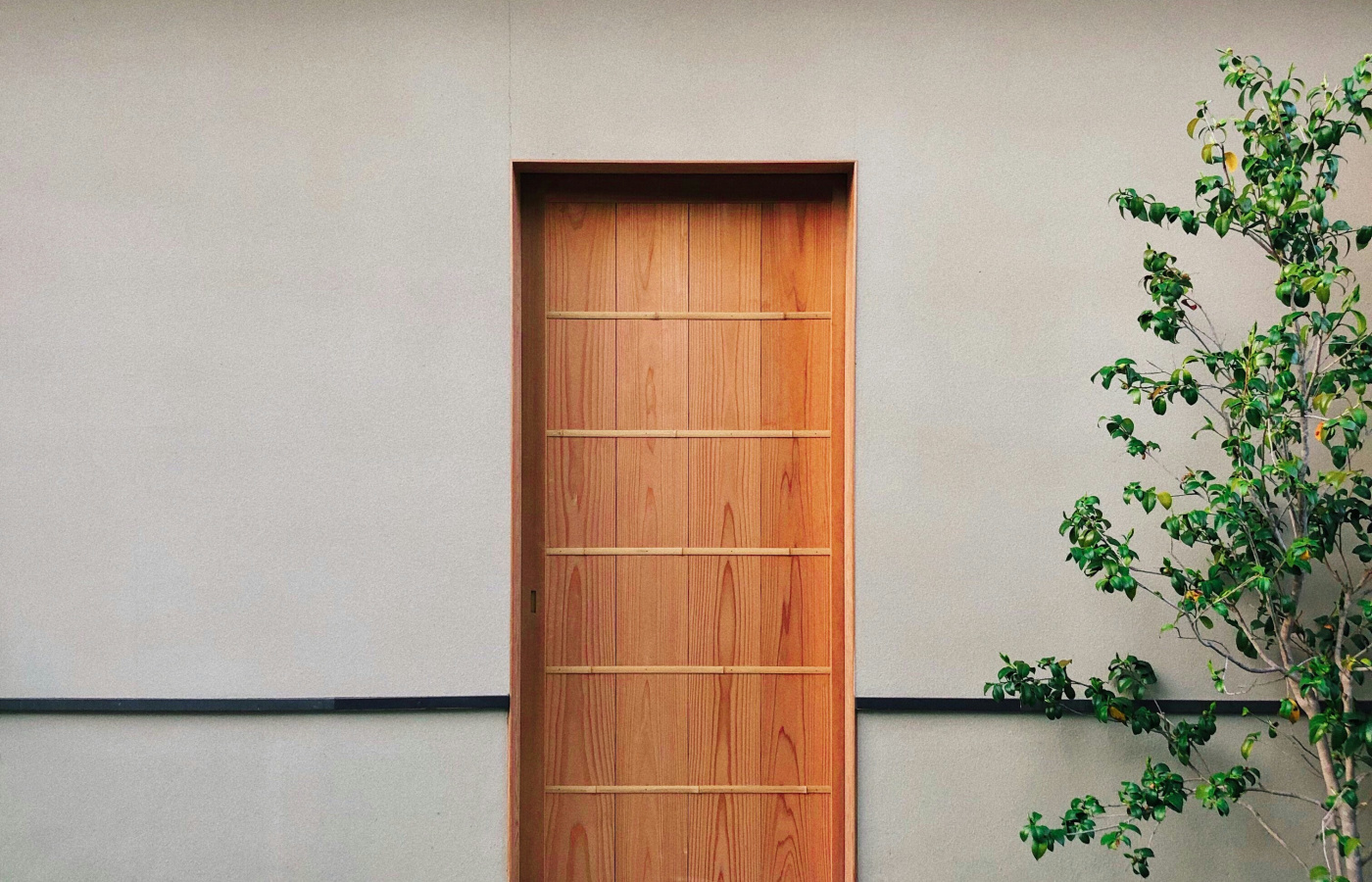 Porte aluminium avec vitrage sécurit