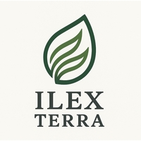 Ilex terra