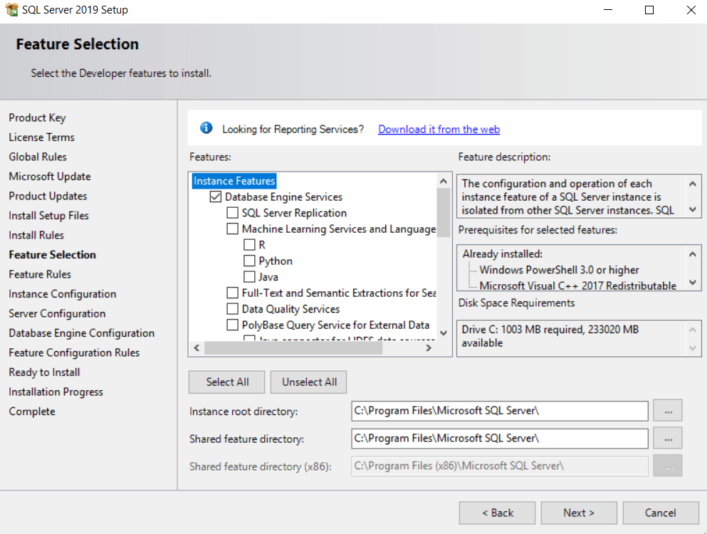 sql server 2016 express limitations