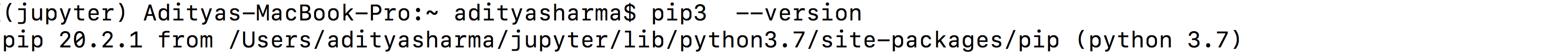 Installing Jupyter Notebook