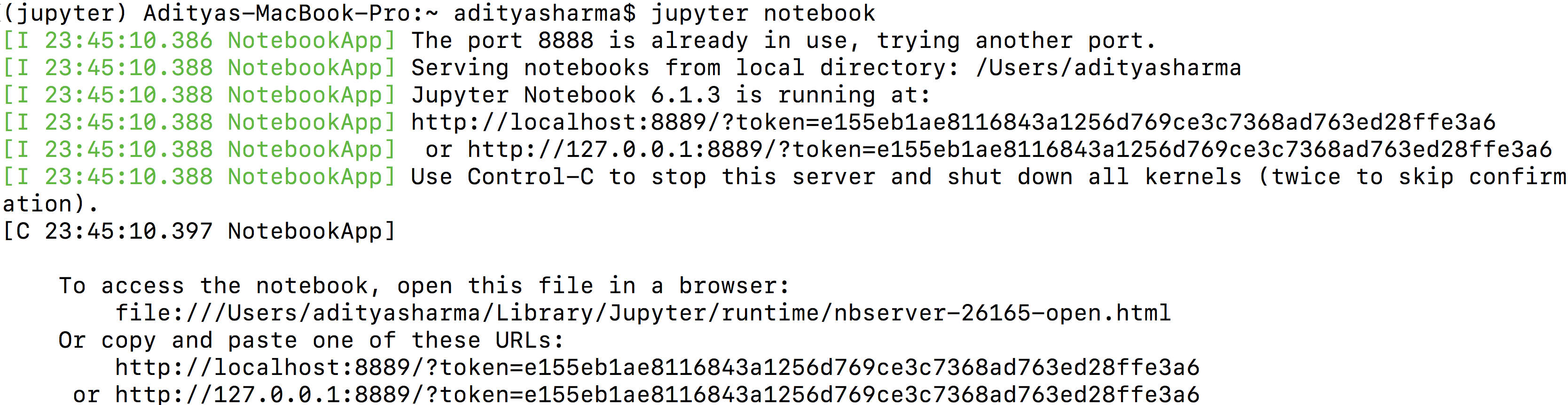 install jupyter notebook