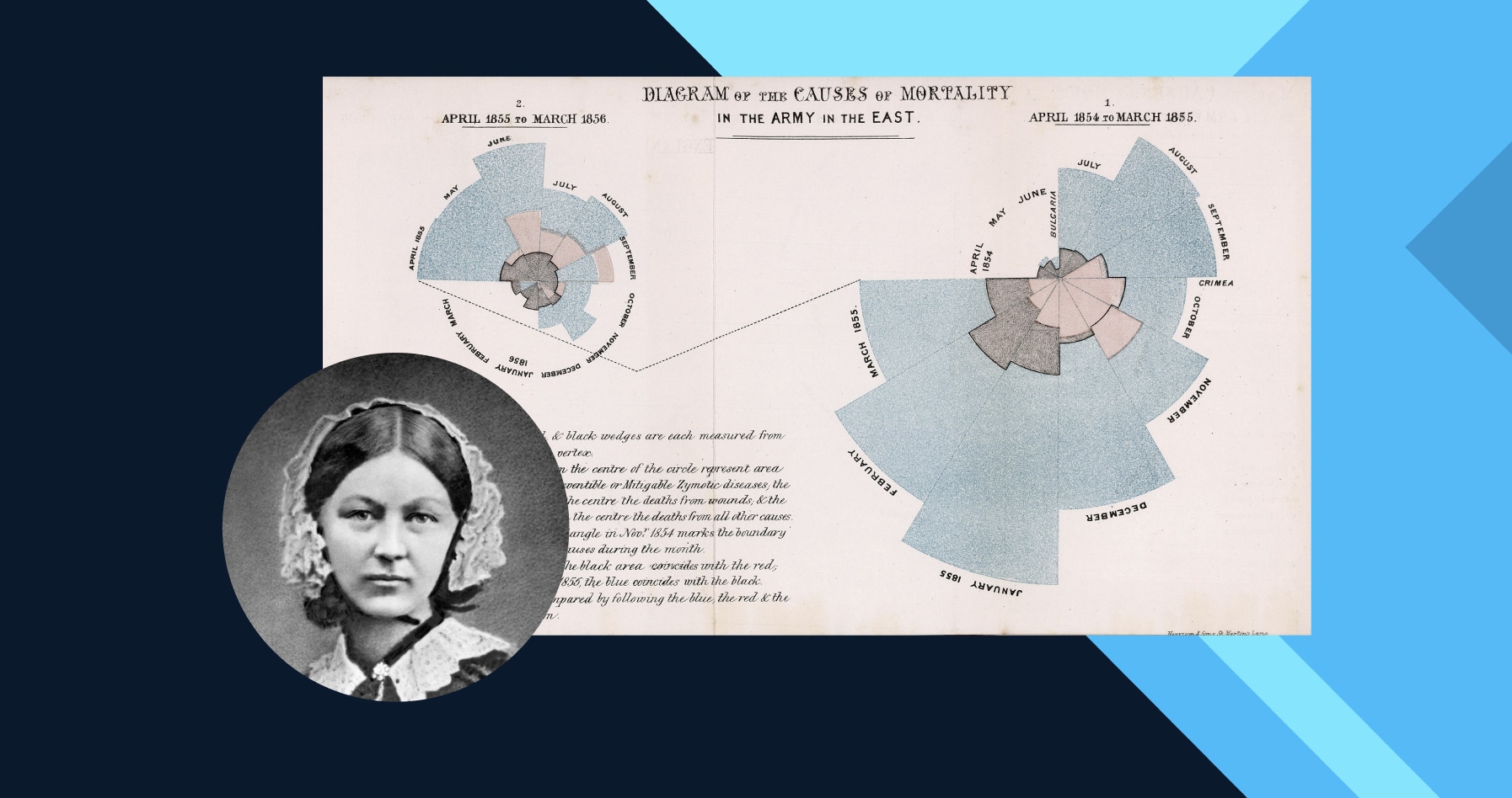 florence nightingale rose diagram