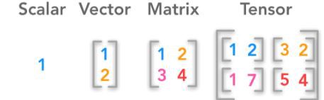 scalars vs vectors vs matrices