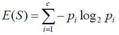 entropy formula