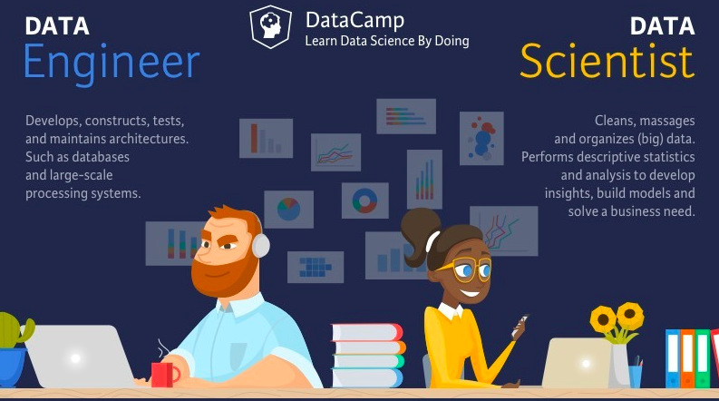 Data Scientist vs Data Engineer  DataCamp