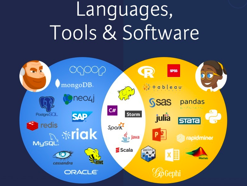 data-scientist-vs-data-engineer-datacamp