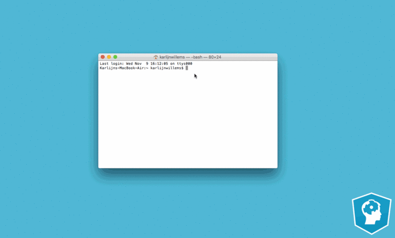 Overview of the Jupyter Notebook App