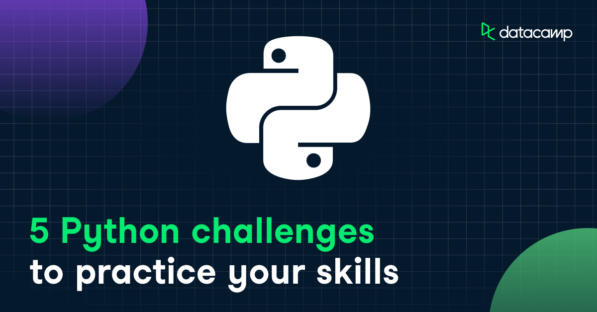 2024 Python Challenge Results Eula Ondrea