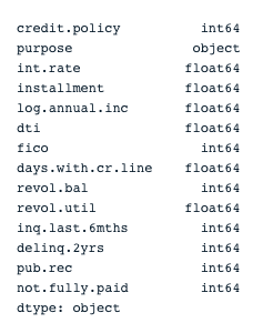 Variables’ type from the loan data before encoding