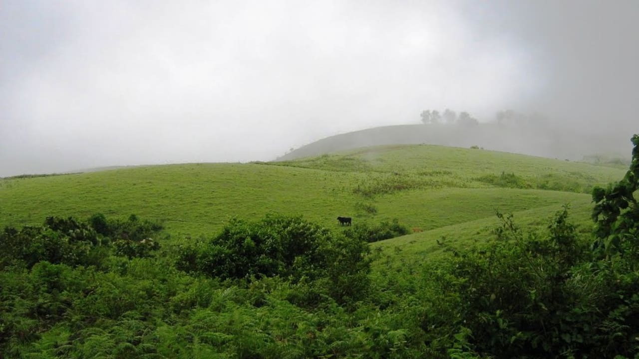 4 Days Kerala Cab Tour - Cochin-Vagamon