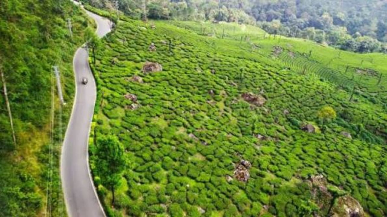 7-Day Kerala Cab Tour: Munnar, Alleppey & Kovalam