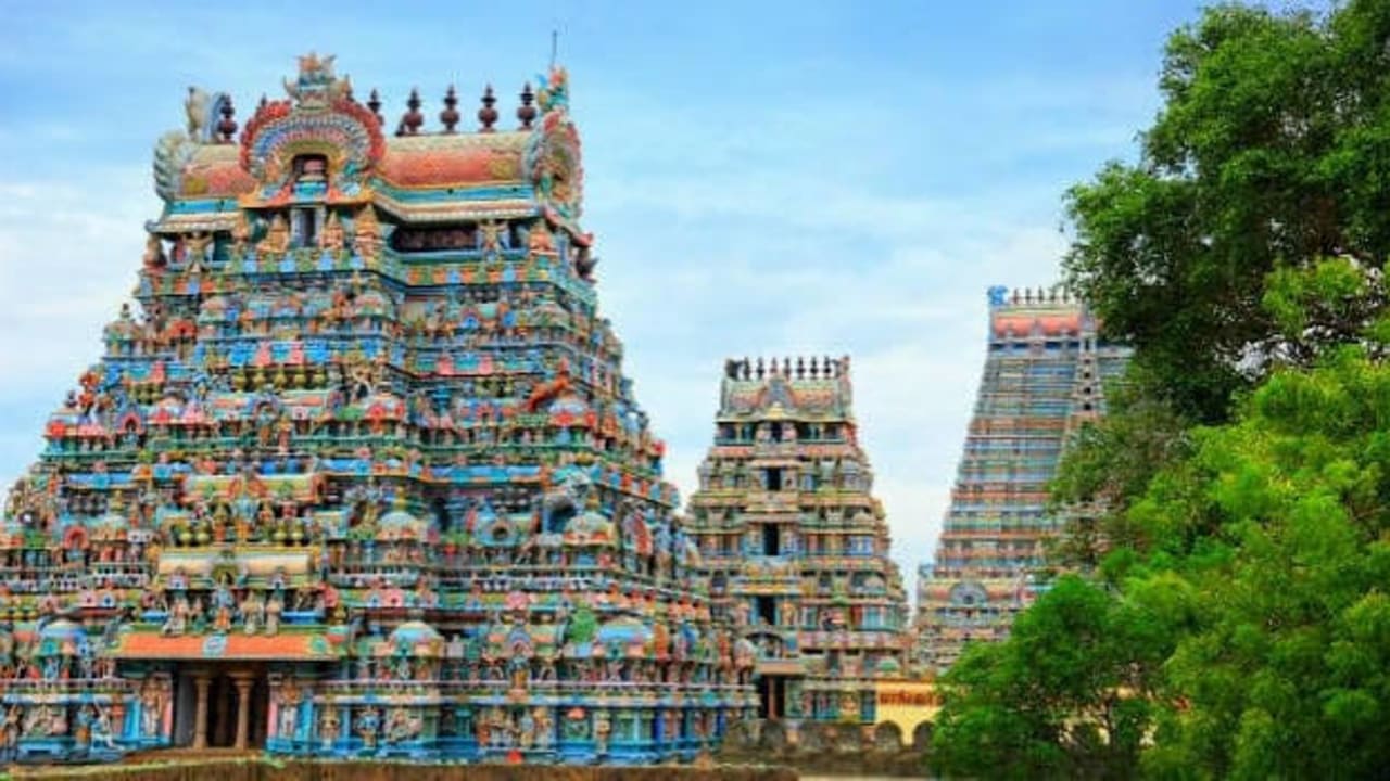 8-Day Kerala & Tamil Nadu Cab Tour: Munnar to Madurai