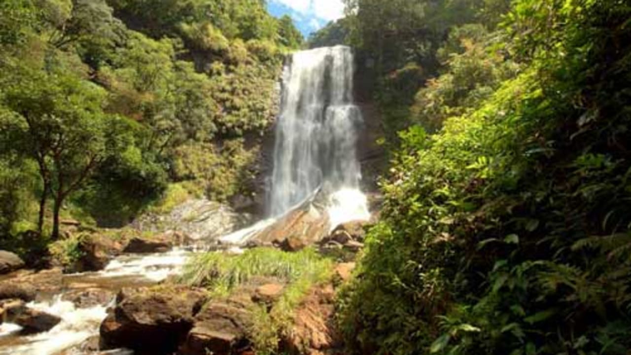3-Day Chikmagalur Cab Tour: Mullayanagiri & Hebbe Falls