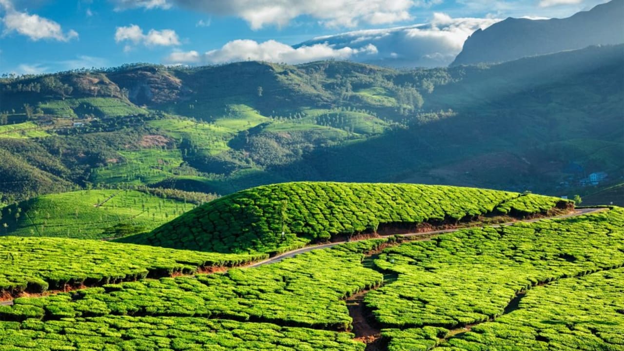 6 Days : Kerala Cab Tour