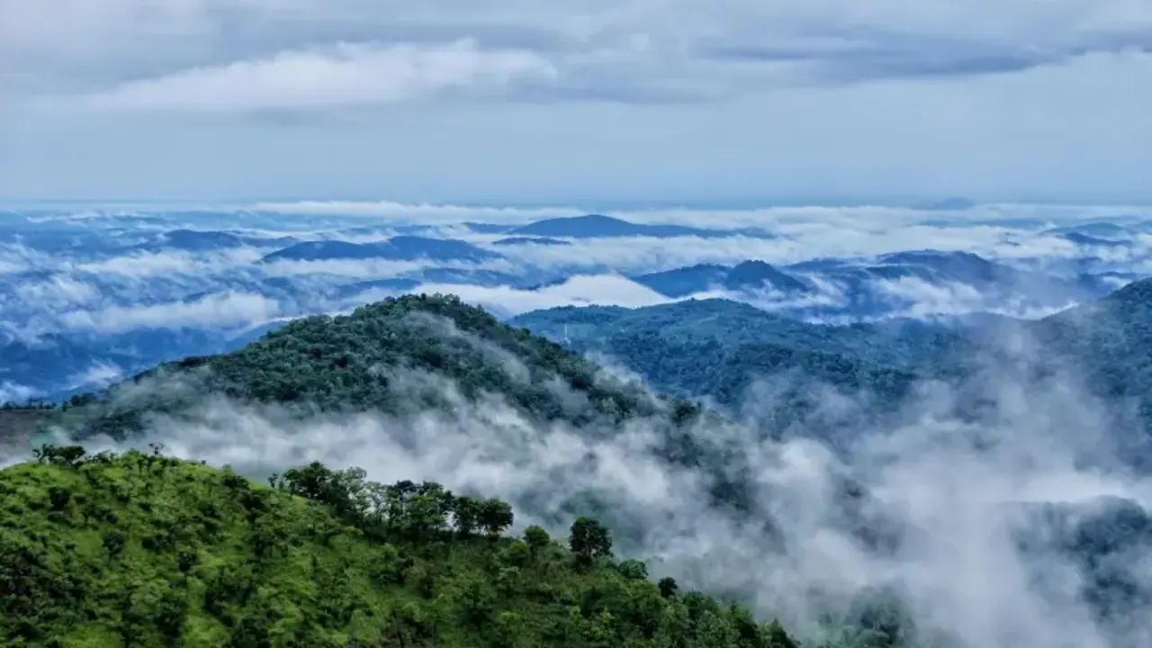 6 Days :Wayanad - Coorg Cab Tour