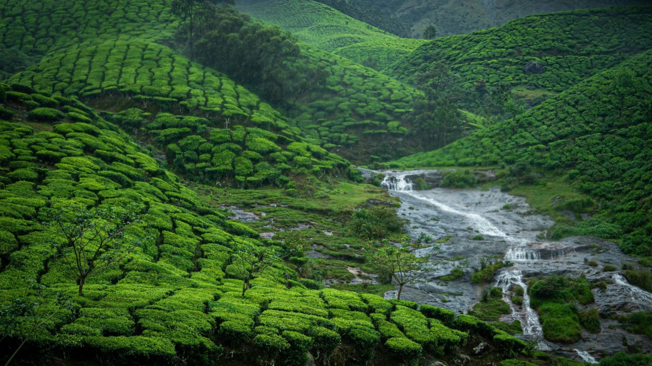 7 Days : Wonderful Kerala Cab Tour