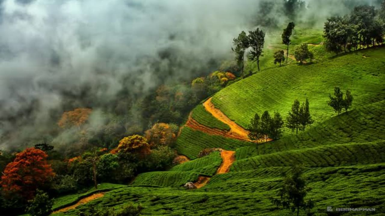 7 Days : Inspiring Kerala Cab Tour