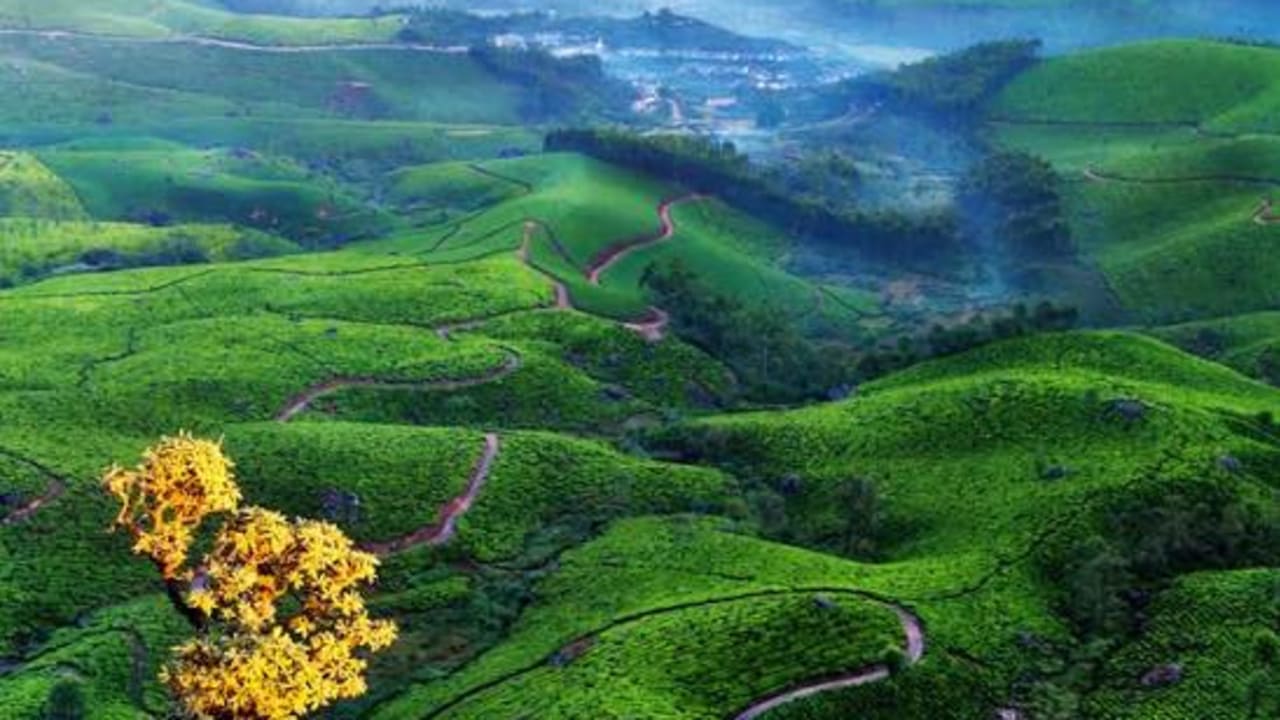 8 Days : Spectacular Kerala Cab Tour