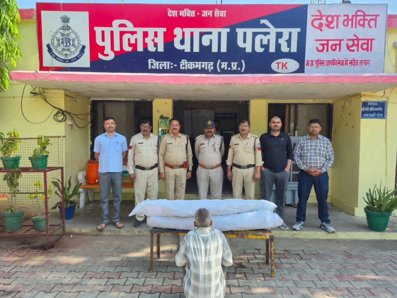 टीकमगढ़ पलेरा पुलिस की बड़ी कार्रवाई: खेत में उगाए गए 89 गांजे के पौधे जब्त, आरोपी गिरफ्तार