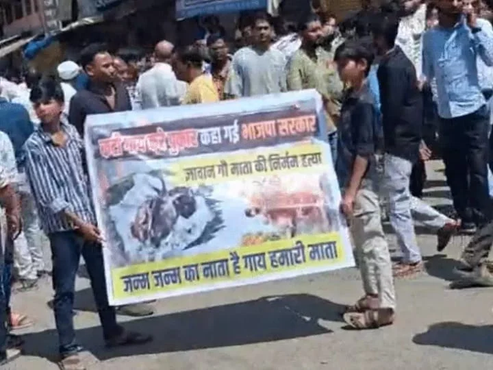 मध्य प्रदेश के दमोह में गोवंश के अवशेष मिलने पर तनाव: हिंदू संगठनों का प्रदर्शन, अतिक्रमण पर चला बुलडोजर; 2 गिरफ्तार