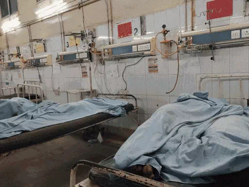 ग्वालियर सड़क हादसे के पीड़ितों को बड़ी राहत: नगर निगम परिषद का मानवीय निर्णय, हर मृतक के परिजन को आउटसोर्सिंग पर मिलेगी नौकरी