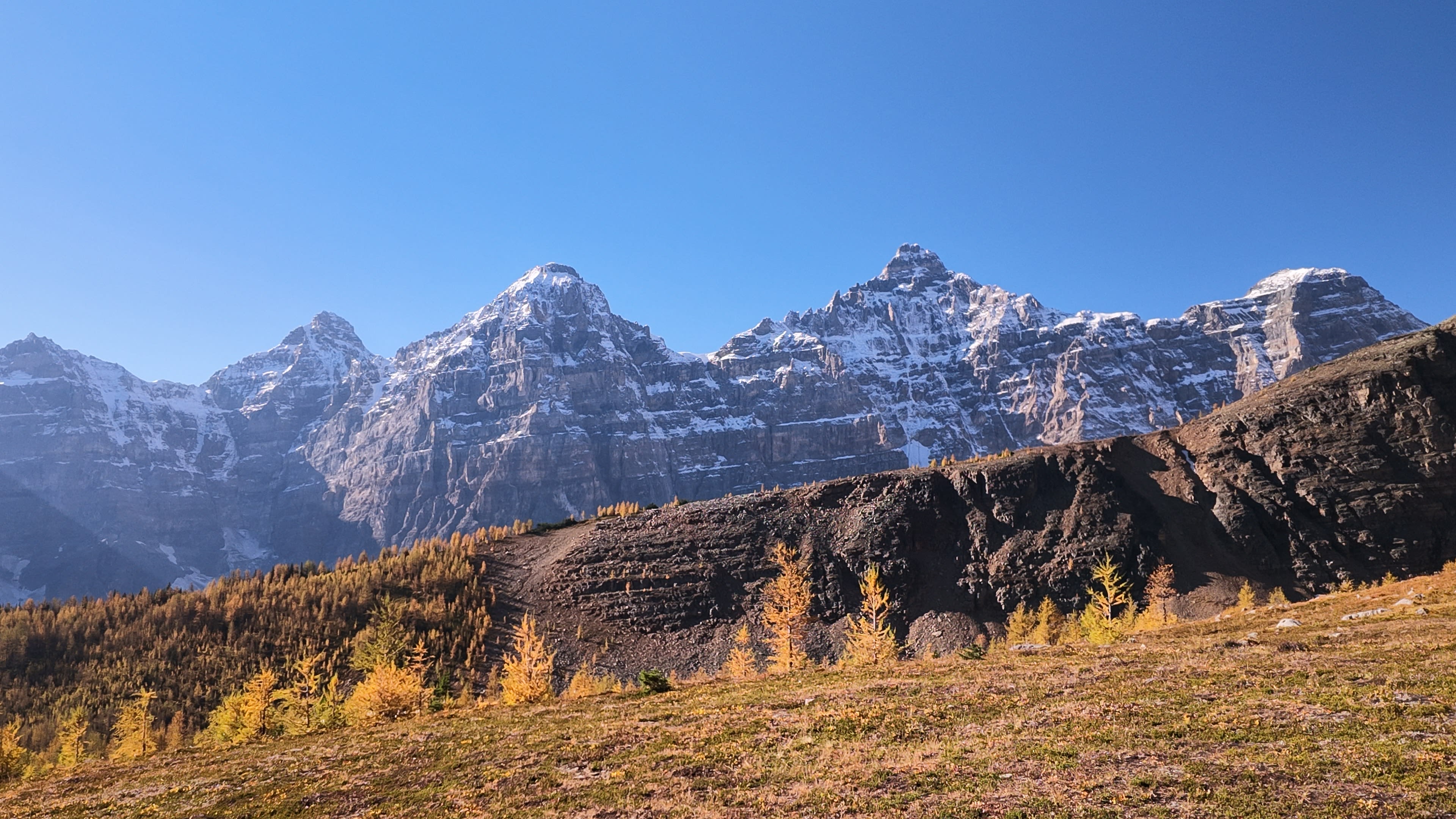 Larch Valley Trail
