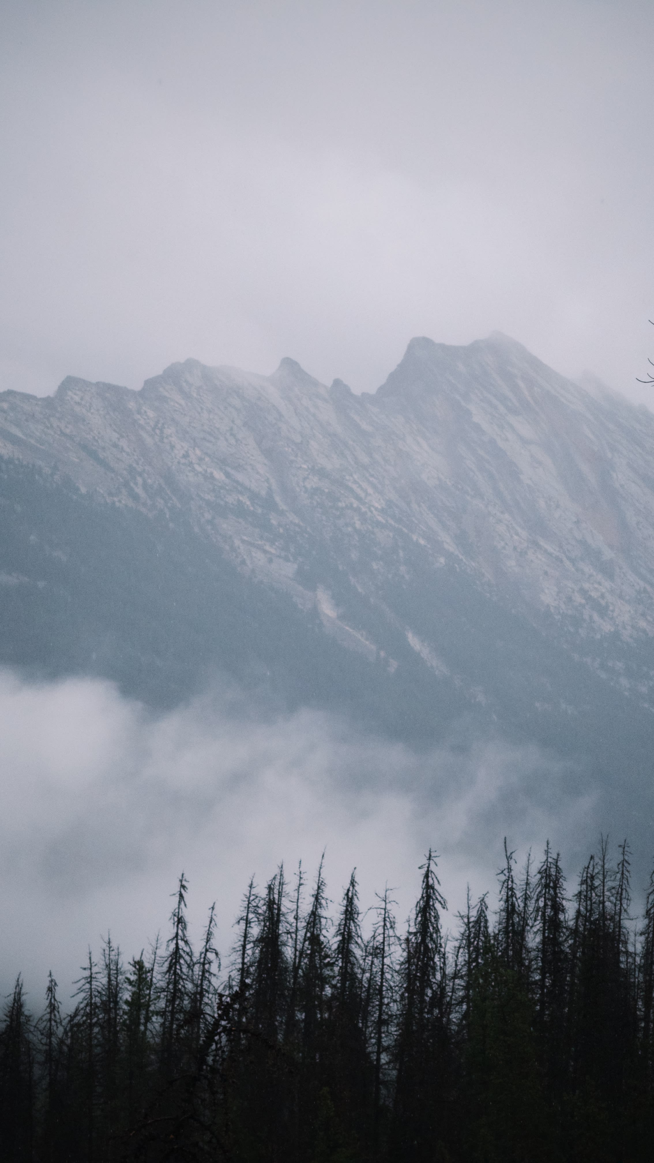 山