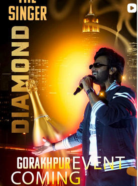 Singer Diamond portfolio 2