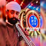 𝐈𝐬𝐡𝐞𝐫 𝐒𝐢𝐧𝐠𝐡 𝐍𝐚𝐦𝐝𝐡𝐚𝐫𝐢 Instrumentalist | Tarshehnai | Esraj | Dilruba profile photo on Kalamanch.art