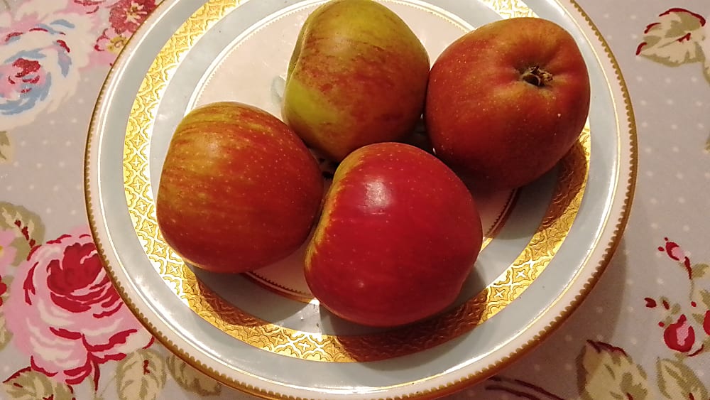 Bowl of four Red Windsor apples