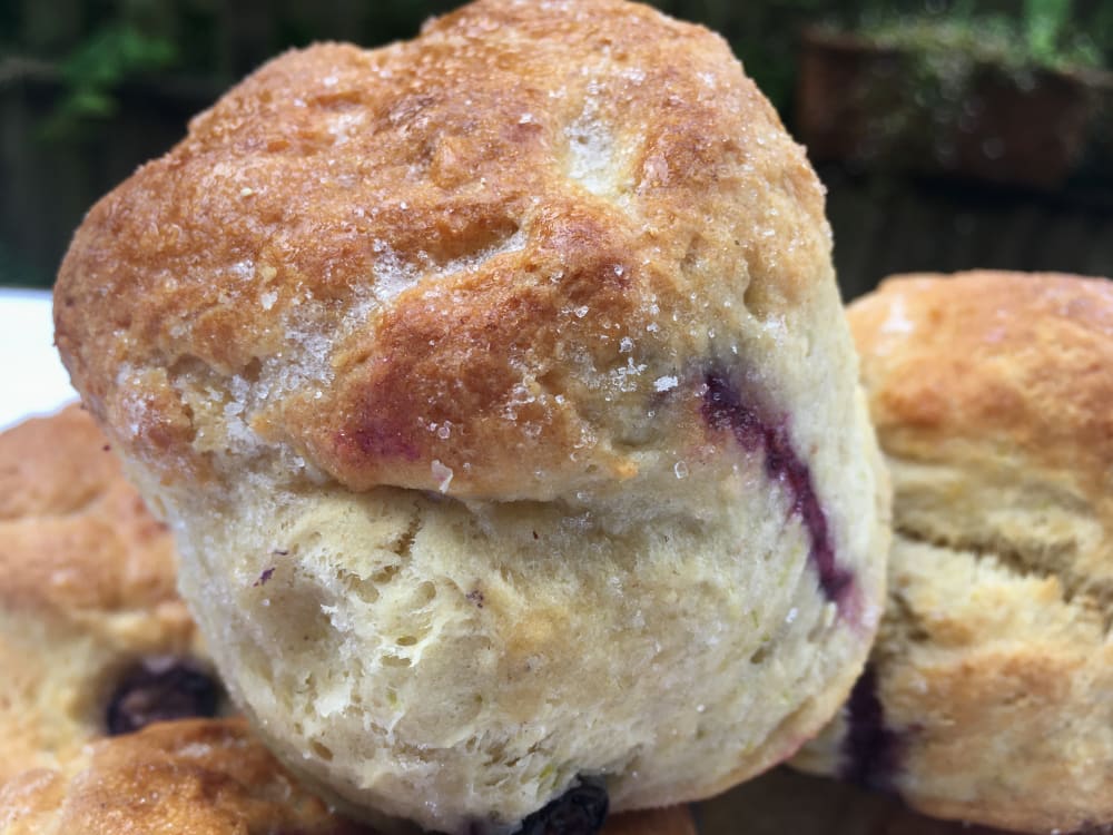 Blueberry and lime scones on a plate