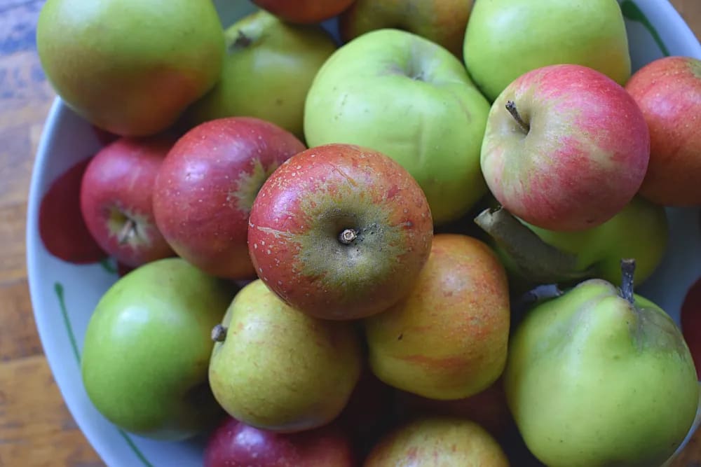 Bowl of red and green apples