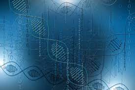 Bioinformatics Consultancy - Research Decode Consultancy Cover Image