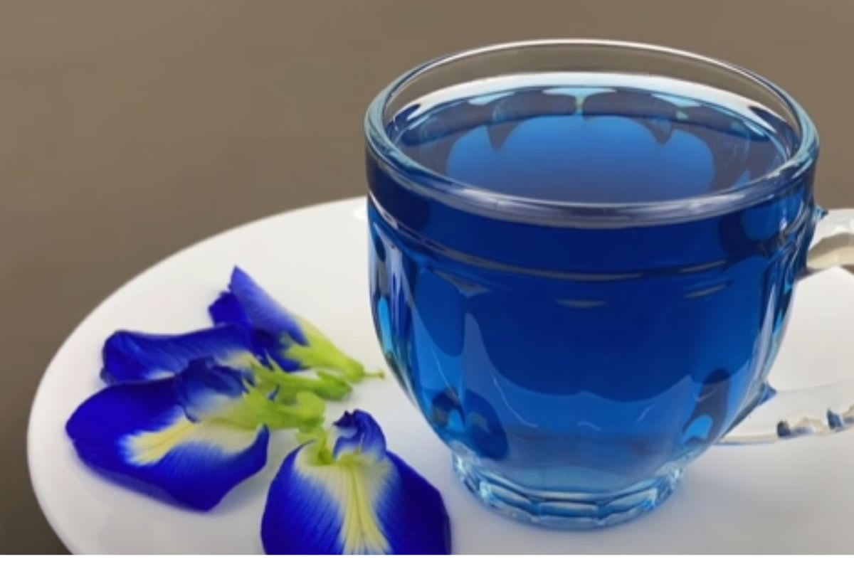 Blue tea ਕੀ ਹੈ? ਇਸਨੂੰ ਕਿਵੇਂ ਬਣਾਉਣਾ ਹੈ, ਜਾਣੋ ਇਸਦੇ ਫਾਇਦੇ ਅਤੇ ਮਾੜੇ ਪ੍ਰਭਾਵ ...