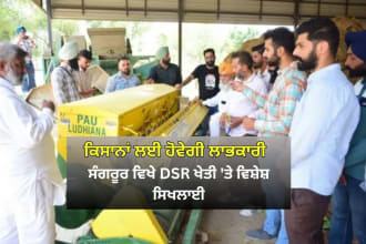 ਸੰਗਰੂਰ ਵਿਖੇ DSR ਖੇਤੀ 'ਤੇ ਵਿਸ਼ੇਸ਼ ਸਿਖਲਾਈ