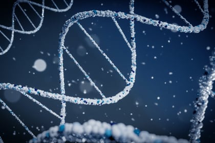 DNA image/science/punjabmode