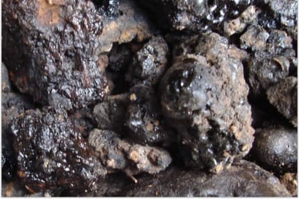 shilajit benefits for cardiovascular/health/punjabmode
