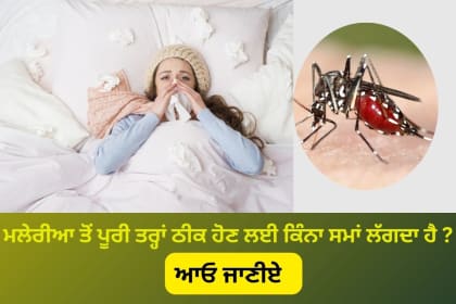 A ill women lying on bed and beside mosquito