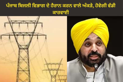 punjab govt. take action electricity department