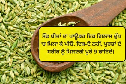 Fennel (Sonf) seeds benefits for body in punjabi