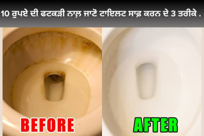 Uses of Fatkri cleaning dirty toilet tips