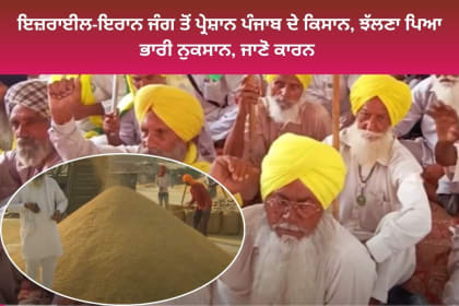Punjab farmers strike for basmati price down