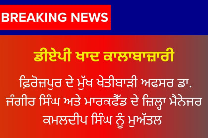 punjab-dap-fertilizer-shortage-black-market-action